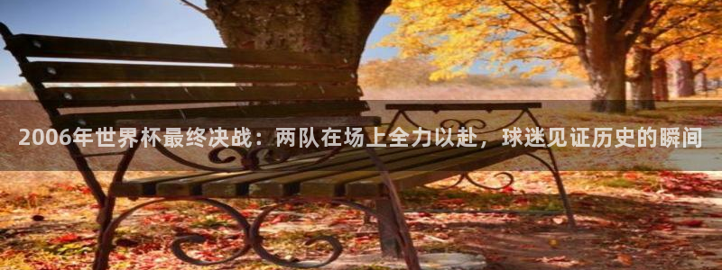 世界杯系列赛:2006年世界杯最终决战:两队在场上全力以赴,球迷见证历史的瞬间
