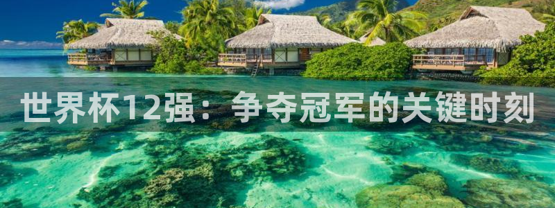 2026世界杯足球赛程时间表:世界杯12强:争夺冠军的关键时刻