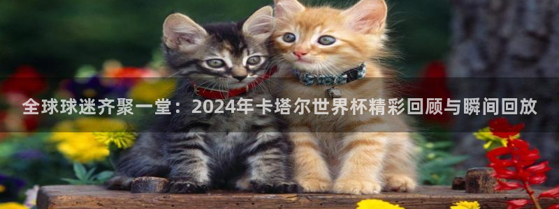 世界杯预选赛亚洲区赛程:全球球迷齐聚一堂:2024年卡塔尔世界杯精彩回顾与瞬间回放