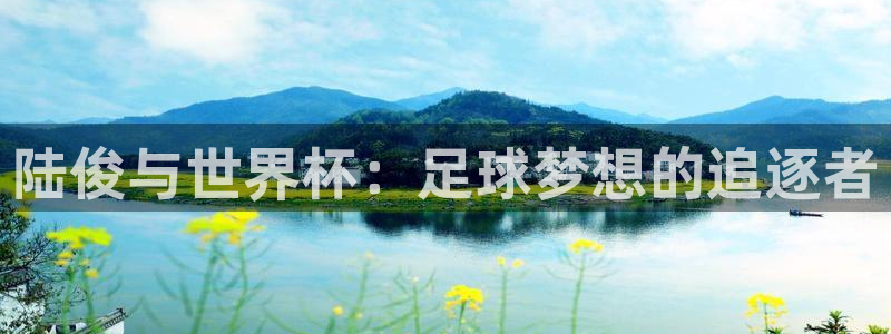 2026世界杯亚洲区预选赛:陆俊与世界杯:足球梦想的追逐者