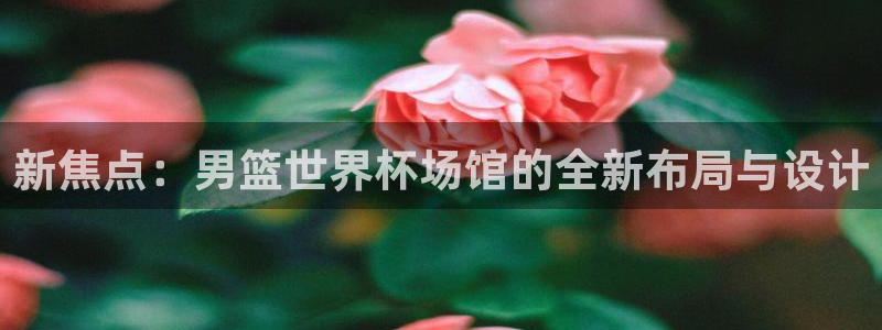 世界杯直播高清:新焦点:男篮世界杯场馆的全新布局与设计