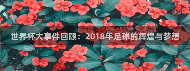 世界杯直播高清:世界杯大事件回顾:2018年足球的辉煌与梦想